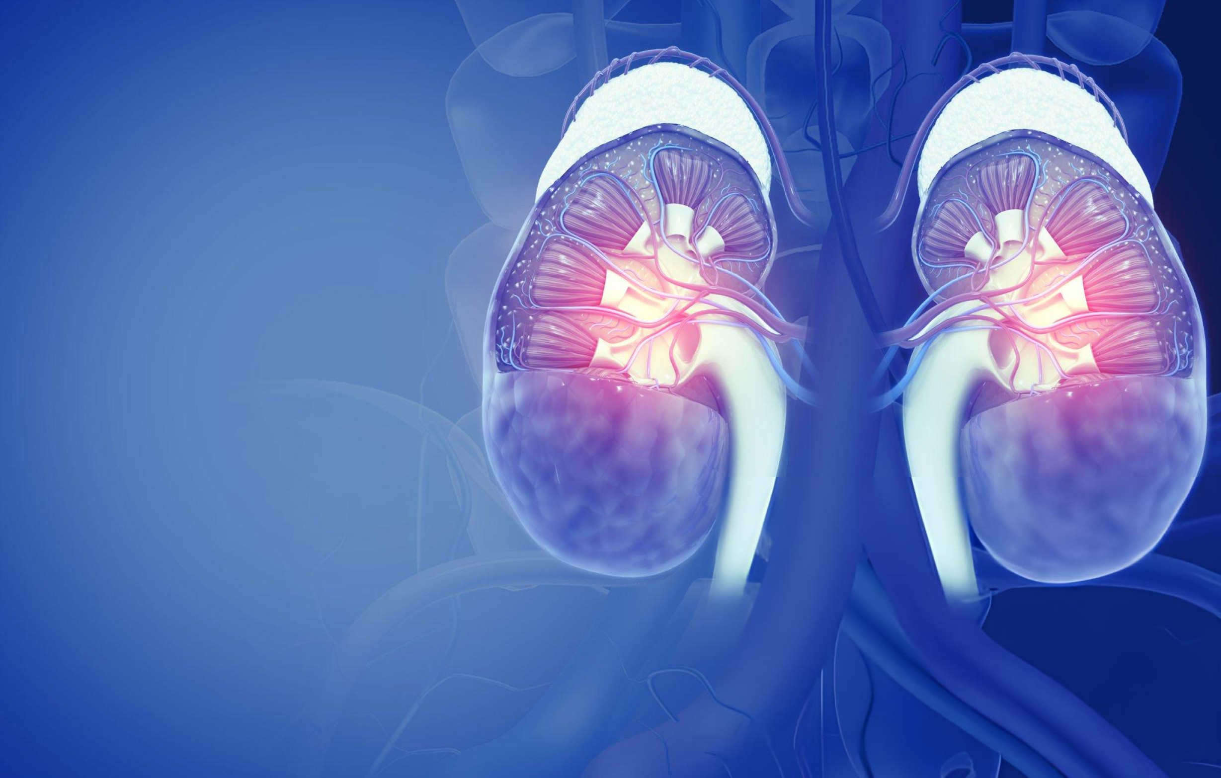 Urología